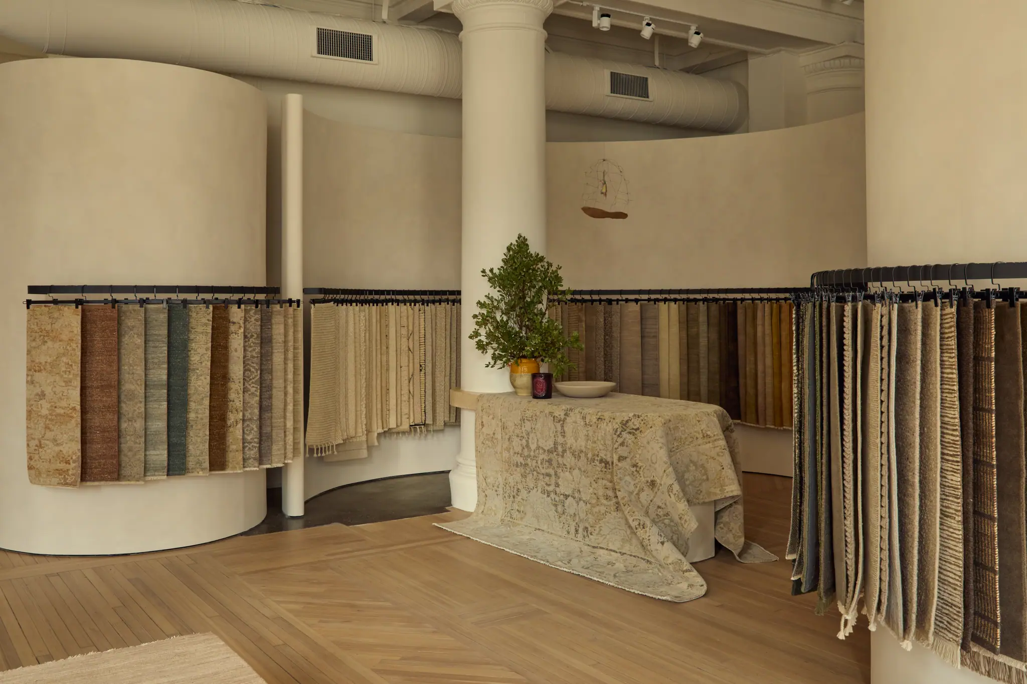 Armadillo Rugs Showroom